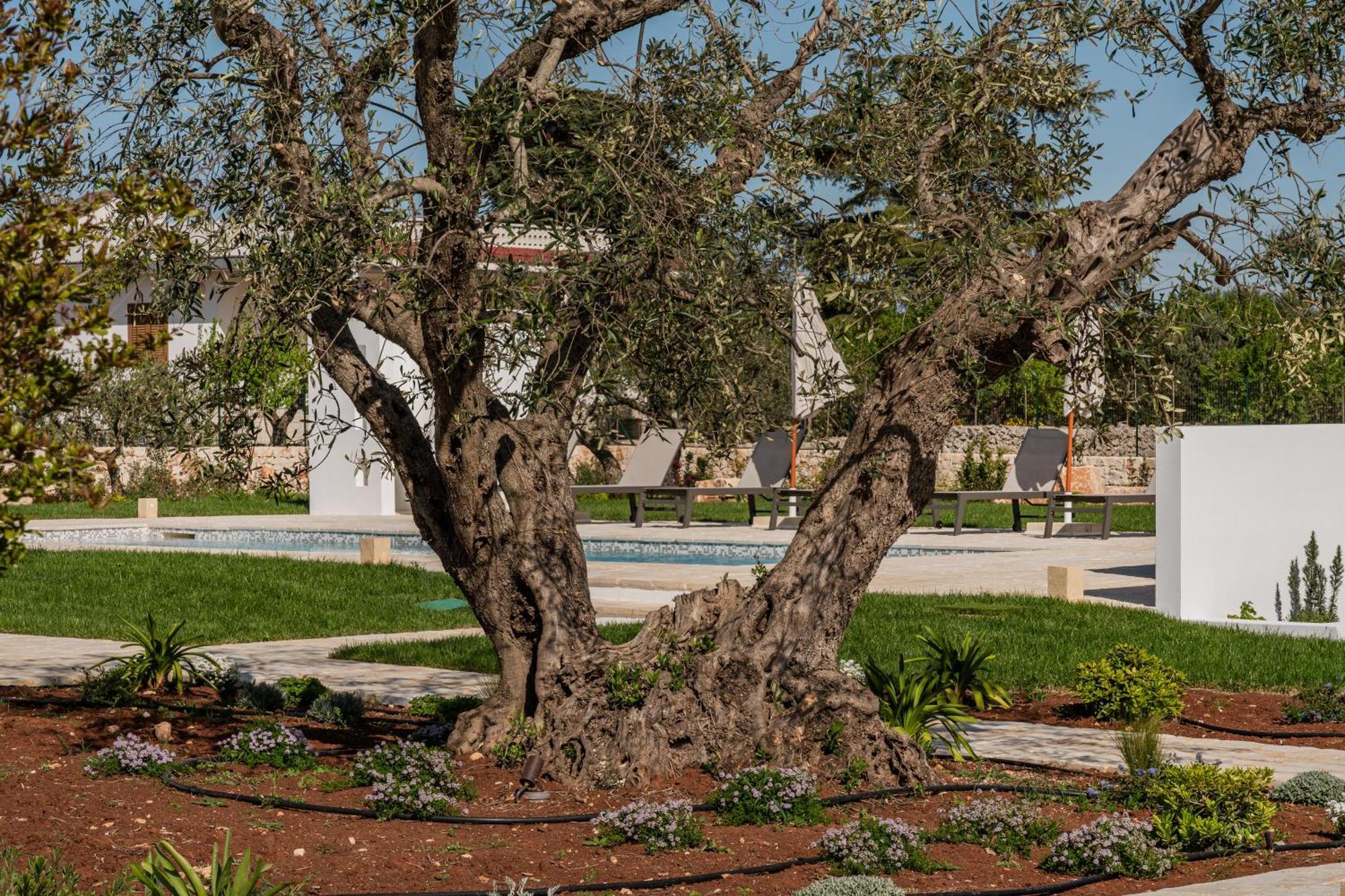 Trullo Jale - Boutique Apartments Ostuni Eksteriør bilde
